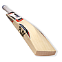 PLAY Limited Edition Cricket Bat