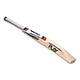 PLAY Limited Edition Cricket Bat