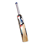 PLAY Limited Edition Cricket Bat