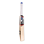 PLAY Limited Edition Cricket Bat