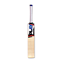 PLAY Limited Edition Cricket Bat